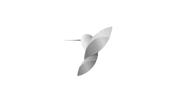 sqt